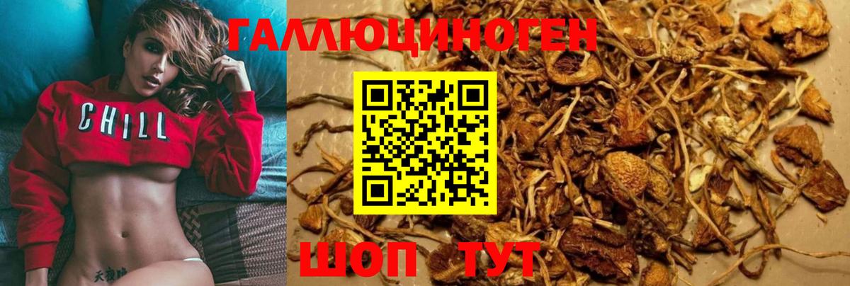 Псилоцибиновые грибы Magic Shrooms Приморско-Ахтарск